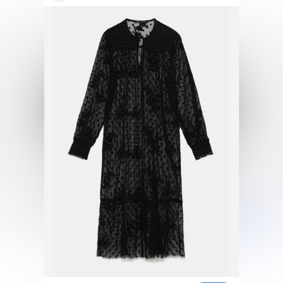 Zara Dresses & Skirts - Zara Polka Dot Sheer Dress Womens Size Small Black